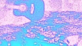 Jeff Buckley So Real Cover
