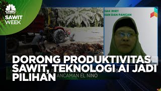 Dorong Produktivitas Sawit Pakai Teknologi AI, Caranya?