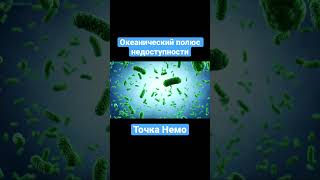 Самое странное место в океане #shortsvideo