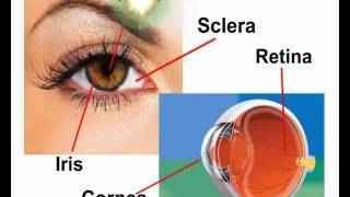 eye microsurgery and laser center thiruvalla part 1