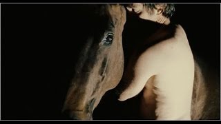 Man has sex with horse, and DIES