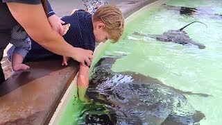 ?Kid BIT by STINGRAY at SEAWORLD!???