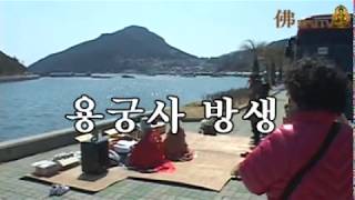 관음종용궁사 불영티비