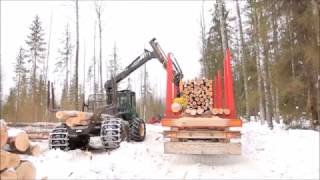 Лесовоз MEGA на делянке в Вологодской области. Timber truck in the Vologda region, Russia