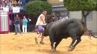 Monserrat Fiestas Taurinas vaquesibous El Viejo Legionario Solitario abril 2014