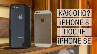 Неделя с iPhone 8: треск в динамике, глюки iOS 11, переход с iPhone SE и сравнение их камер
