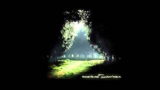 Ancient Mariner - Pulses