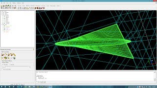 Dellta wing - ICEM Hexa meshing