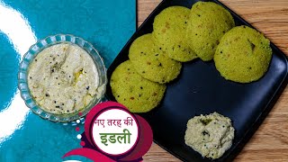 मटर का हरा भरा नाश्ता, जो सबको खूब पंसद आएगा | green idli recipe, | easy snaks. moms kitchen, |hindi