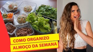 COMO ORGANIZO O ALMOÇO DA SEMANA TODA (GASTEI R$37 REAIS) / Comida fitness