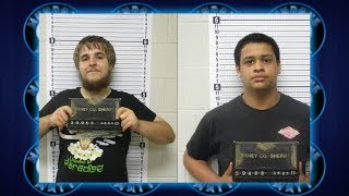 Two teens in jail for murdering kitten for a pizza