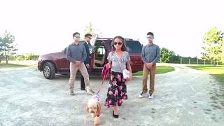 Little Princess, Cute Dog Videos, Little Girl Model, Funny Videos, Cute Puppies, DJI Drone