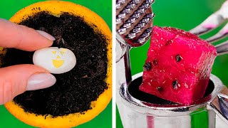 Smart plant hacks to grow your own garden