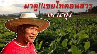 มาดู!! เขยไทคอนสารเลาะทุ่ง EP 77