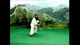 bagua feilong jian - wudang 八卦飞龙剑、武当 1