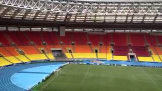 Lujniki