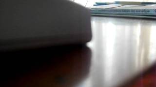DOLBIT NORMAL`NO