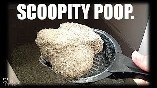 How to properly SCOOPITY POOP (as instructed by Kanye West) - Cat Lady Fitness