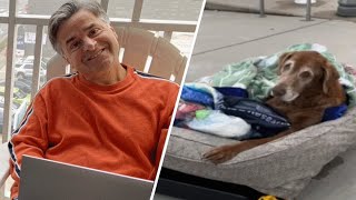 Family builds mobile bed for elderly dog so she could still enjoy the outdoors