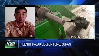 Askindo: Penurunan PPn jadi 2% Tak Berdampak Besar bagi Industri Kakao