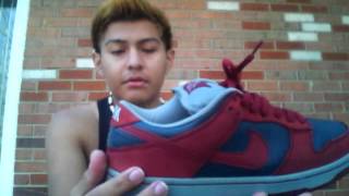 nike sb SHARKS review -romer