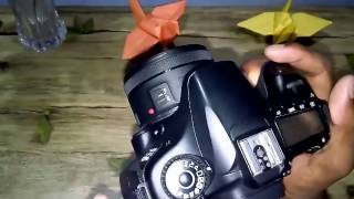 Canon Eos 60d with EF 50 mm f1 8 STM Lens & Other Gear's