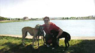 Mi galga Siria cumple 14 años