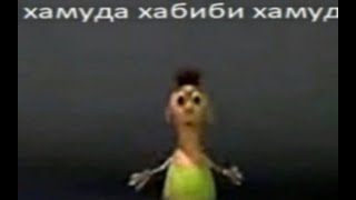смегма team