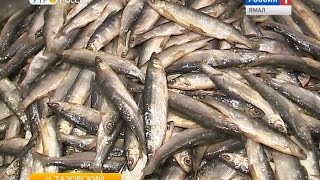 Житель Тазовского открыл цех по переработке мяса и рыбы