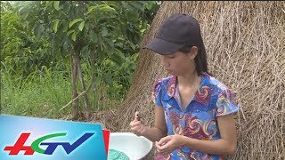 Gió lạnh đầu mùa | HOA LÚA - 13/11/2017