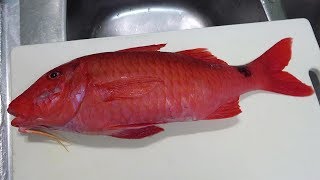 ヒメジの刺身とにおい問題