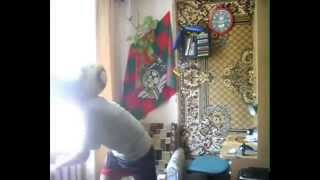 egorFF RUL part 5