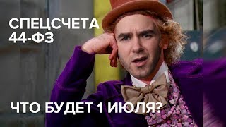 Специальные счета по 44-ФЗ. Открывать спецсчет или нет?