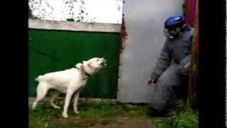 Кусь проверка на охрану 2