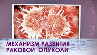 Как возникает и развивается рак?