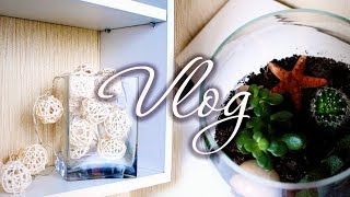 ДОМАШНИЙ ВЛОГ/ПОКУПКИ ДЛЯ ДОМА И УЮТА/ТАТЬЯНА РЕВА