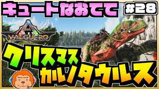 【ARKバルゲロ】#28 -大きな体に小さなおてて。クリスマスイベカラカルノタウルス捕獲作戦！-【Valguero】