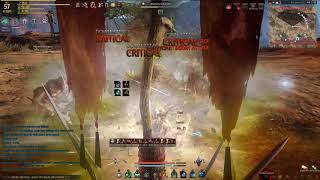 Black Desert Villen Erklärung  / Bashim Grinding Spot