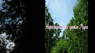 День 4 Нерожденные дети Рода  #МолитвызаРод#ДетиРода#Род#РодовыеМолитвы#