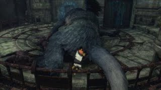 Will the vore ever stop