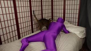 Indifferent Cat Interrupting Spandex Video