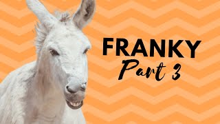 Franky's introduction to our fields, part 3 - Easy Horse Care Rescue Centre