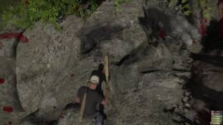 Нападение волков Miscreated