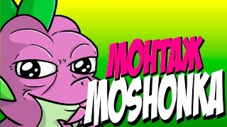 ПОПАЛ В МОШОНКУ - МОНТАЖ