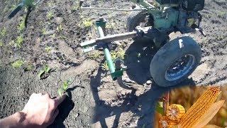 1 Прополка кукурузы *Мотоблоком*