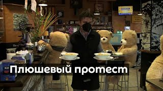 Из-за изоляции мишки Тедди "захватили" итальянский бар