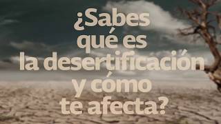 ¿Sabes qué es la desertificación y cómo te afecta?