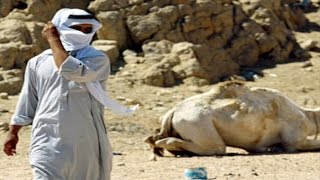 الشعب السعودي النازح يفضفض - فضفضة