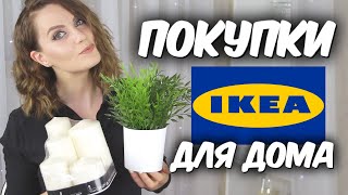 IKEA /ПОКУПКИ В ИКЕА /Покупки для дома, для кухни, для декора /Suzi Sky