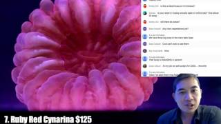 Tidal Gardens July 2016 Live Sale II